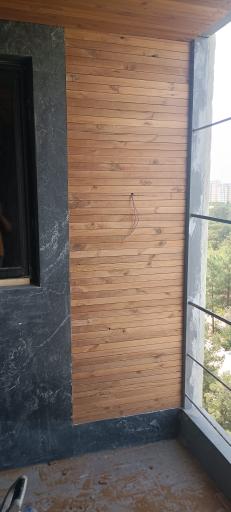 عکس ترموو وود رئیسیان 