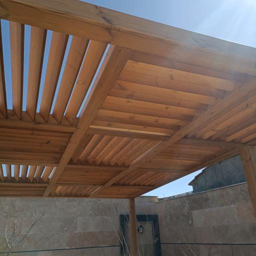 عکس ترموو وود رئیسیان 