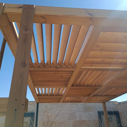 عکس ترموو وود رئیسیان 