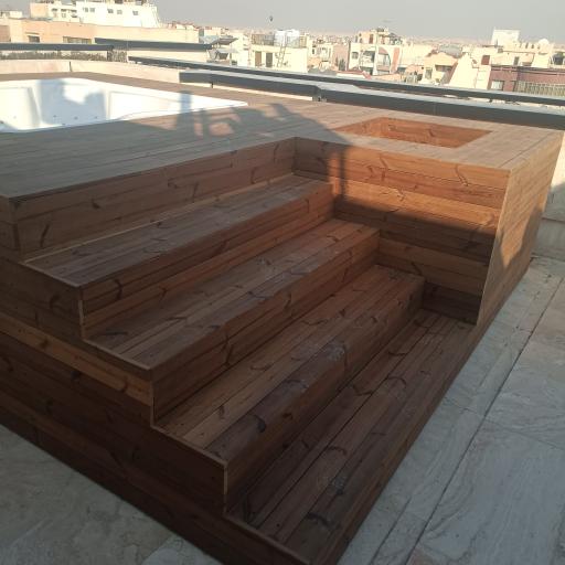 عکس ترموو وود رئیسیان 