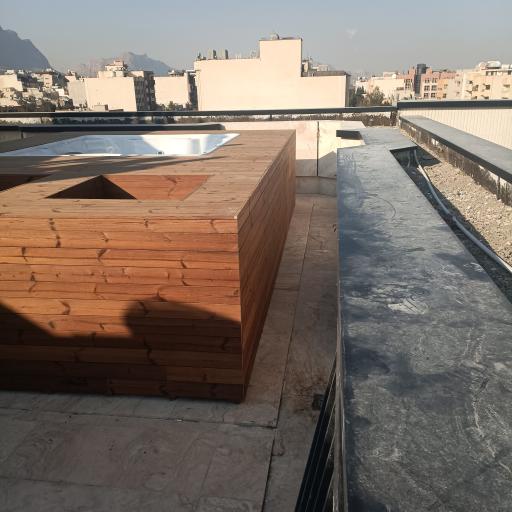 عکس ترموو وود رئیسیان 