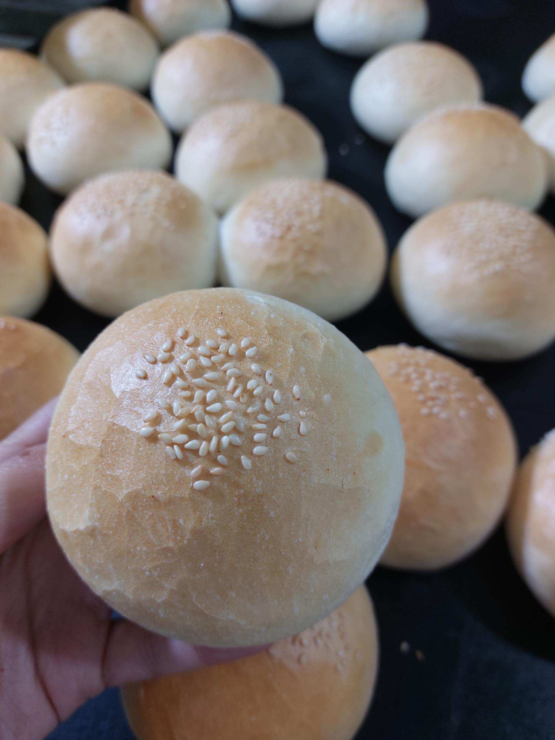 عکس نان فانتزی گریوان