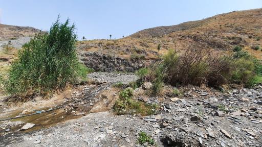 عکس آبگیر و چشمه زکریا