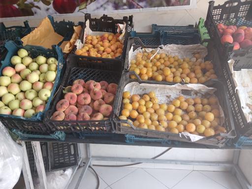 عکس میوه و سبزی فروشی
