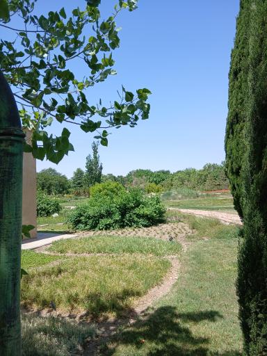 عکس میدان لوتوس