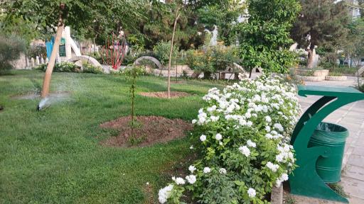 عکس بوستان سیمرغ