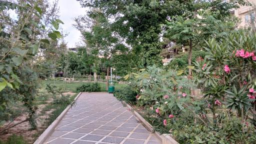 عکس بوستان سیمرغ