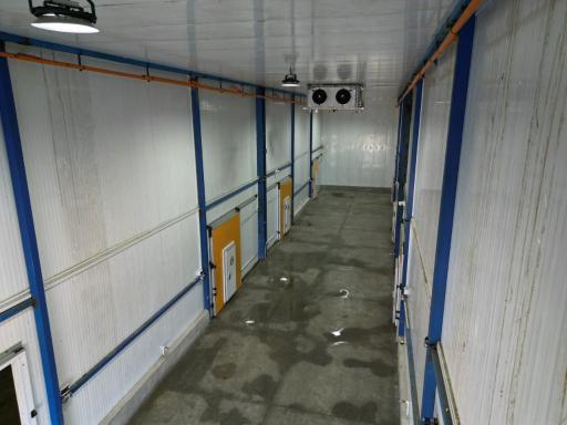عکس سردخانه سیروس دنیاگیر 