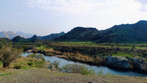 عکس منوجان