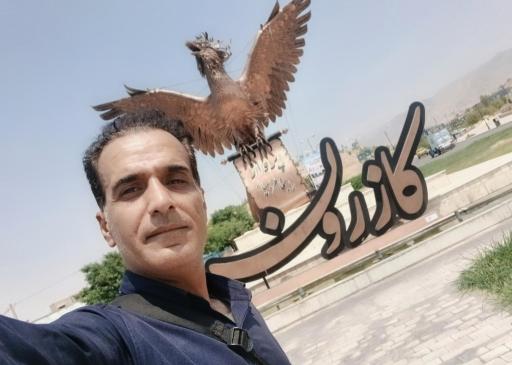 عکس ققنوس