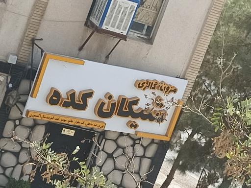 عکس مزون گالری شیکان کده 