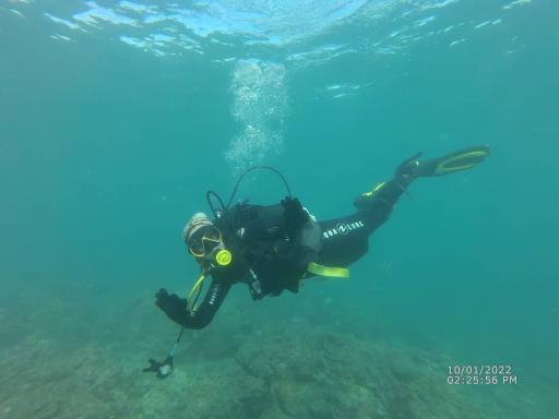 عکس مجموعه غواصی پرشین گلف 