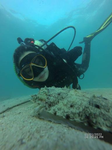 عکس مجموعه غواصی پرشین گلف 