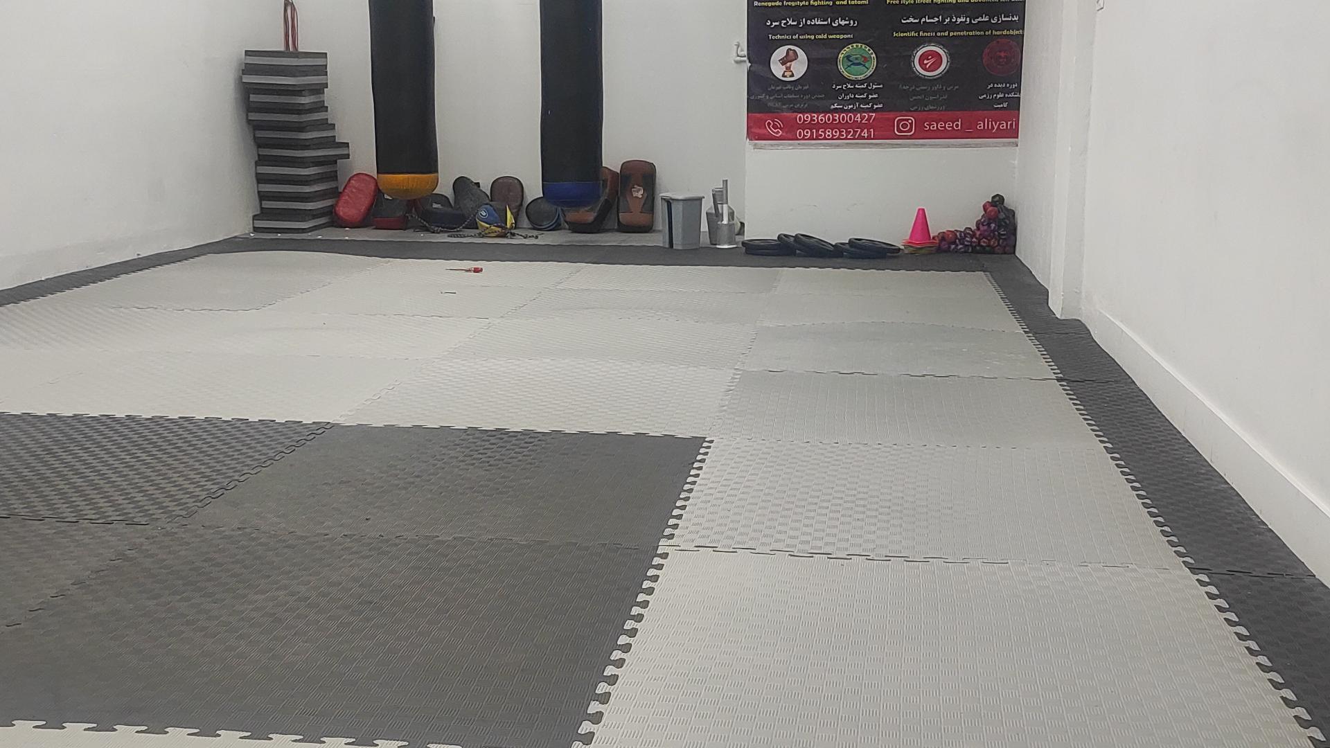 عکس باشگاه سایون