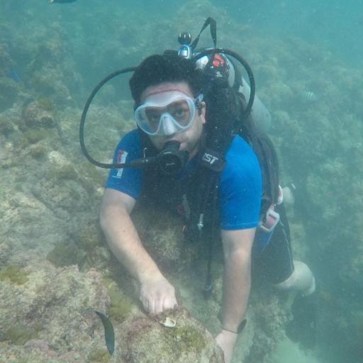 عکس مجموعه غواصی پرشین گلف 