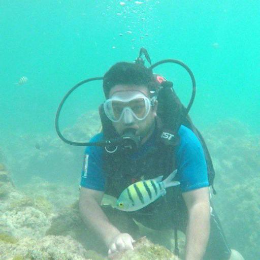 عکس مجموعه غواصی پرشین گلف 