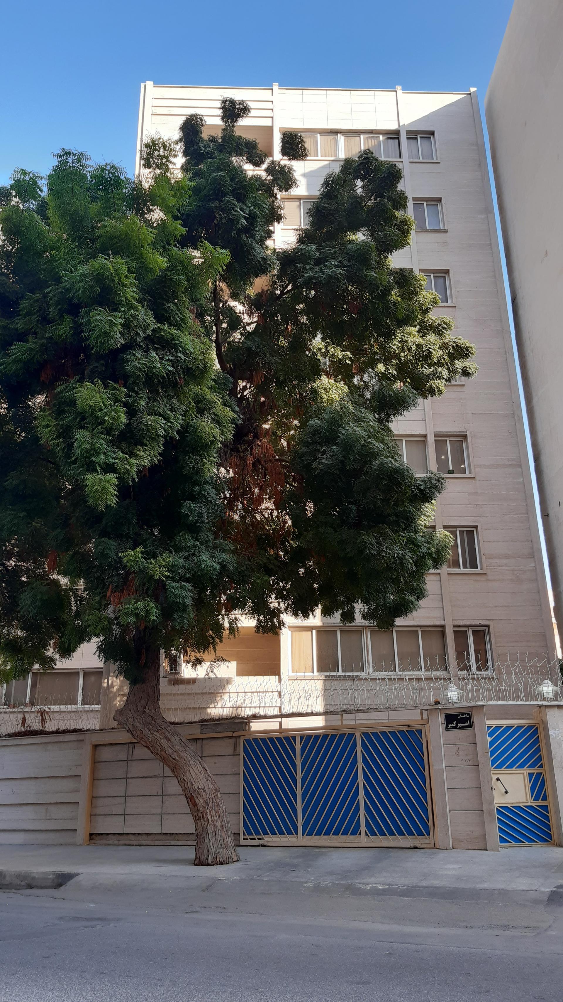 عکس ساختمان امیر کبیر