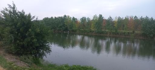 سد لاستیکی گالش کلام