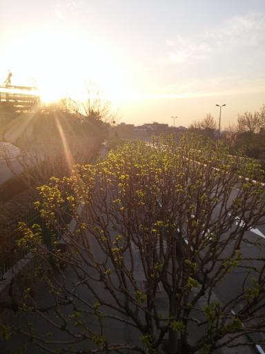 پل عابر پیاده گیشا