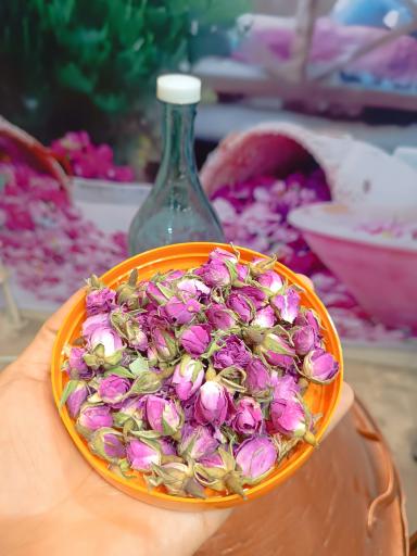  گلابگیری و عرقیات آقای گلاب 