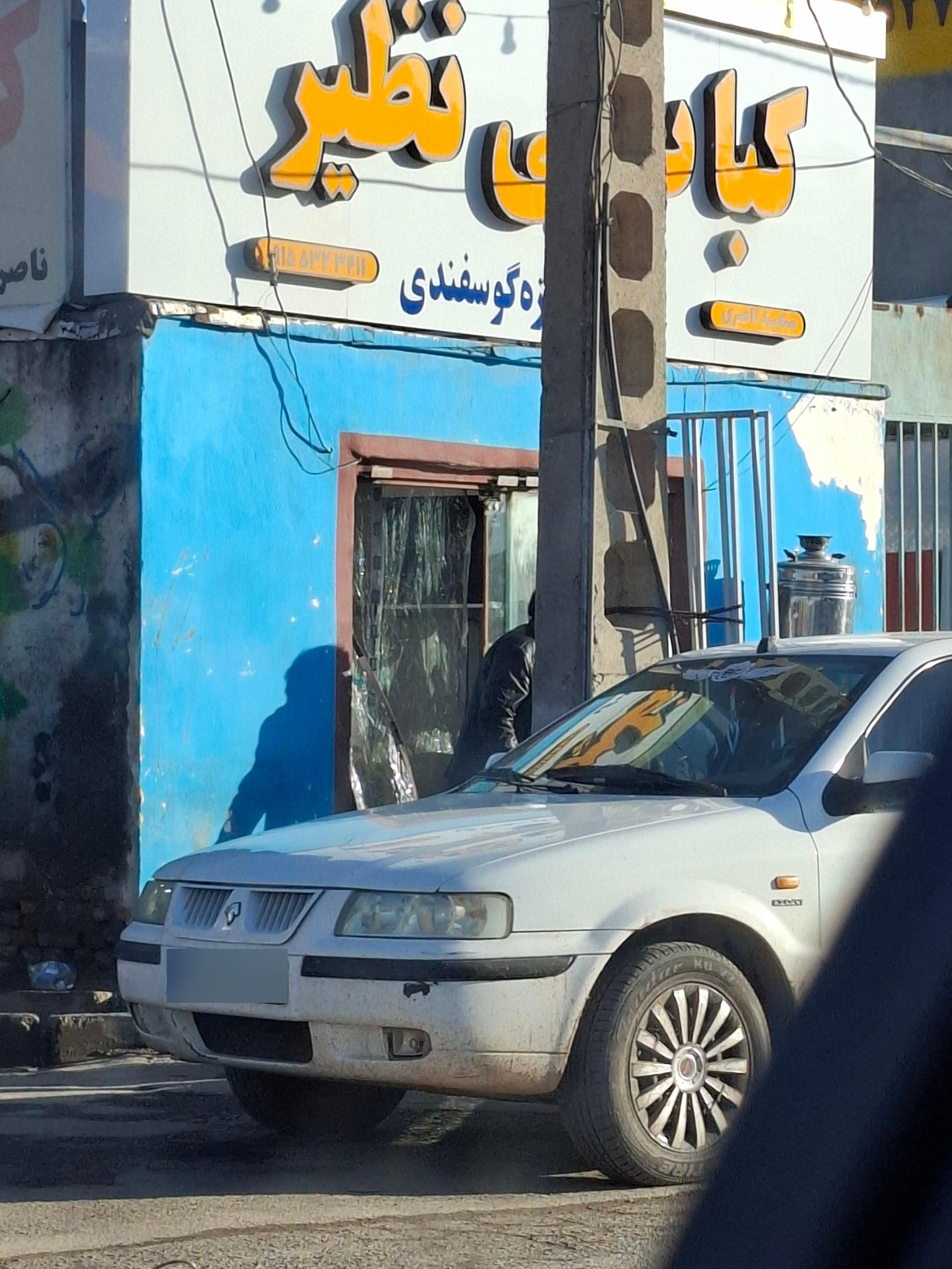 عکس کباب بی نظیر 