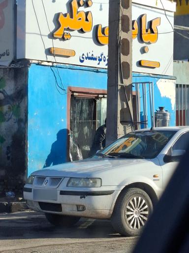 عکس کباب بی نظیر 
