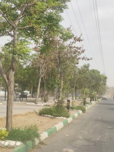 عکس بوستان سبز بلوار اصفهانی