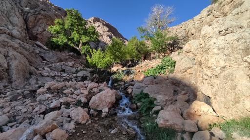 عکس دره شاهی