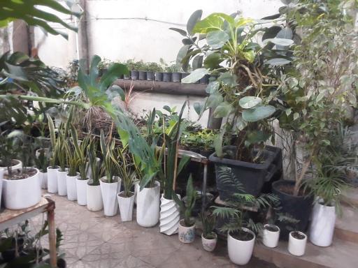 عکس مجتمع گل و گیاه الغدیر 