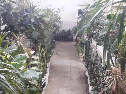 عکس مجتمع گل و گیاه الغدیر 