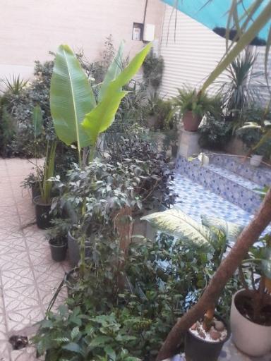 عکس مجتمع گل و گیاه الغدیر 