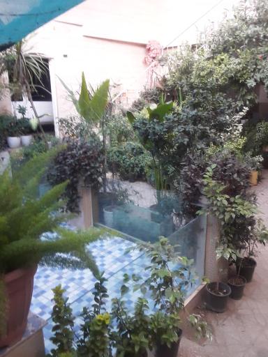 عکس مجتمع گل و گیاه الغدیر 