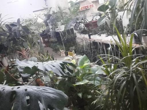 عکس مجتمع گل و گیاه الغدیر 