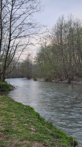 عکس آبشار گلرودبار