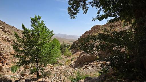 عکس دره شاهی