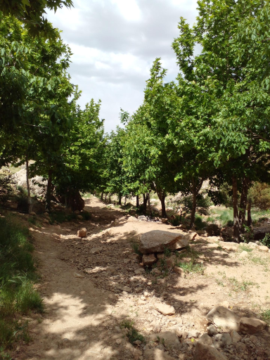 عکس دره شاهی