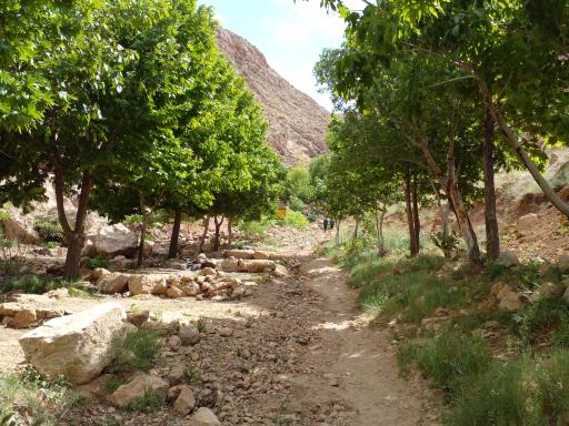 دره شاهی