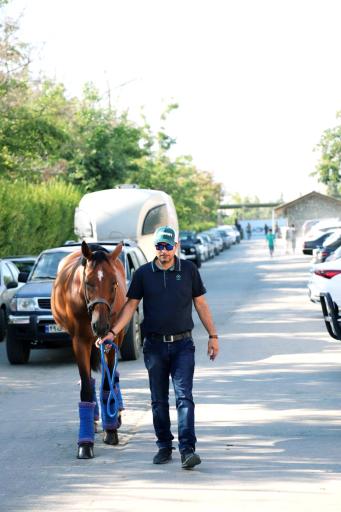 عکس باشگاه سوارکاری آزمون