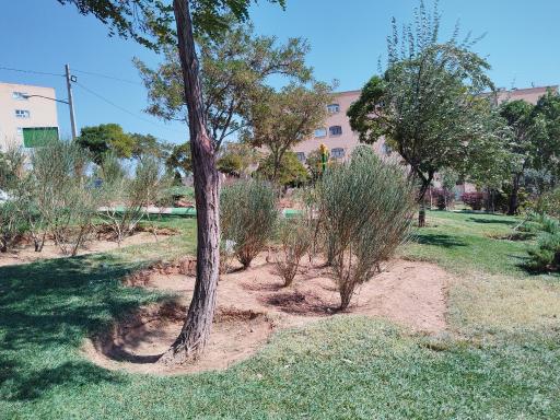 عکس بوستان ایمان