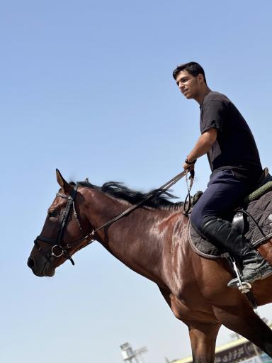 عکس باشگاه سوارکاری آزمون