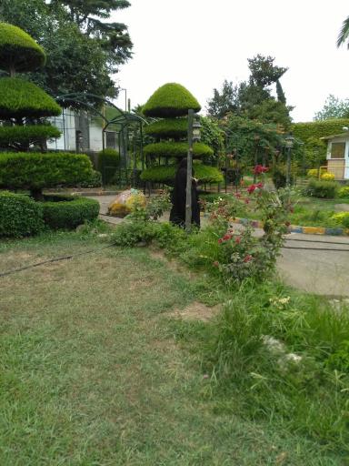 عکس اردوگاه نور نشتارود