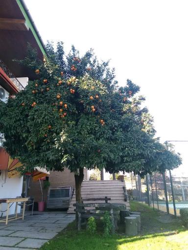 عکس اردوگاه نور نشتارود