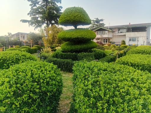 عکس اردوگاه نور نشتارود