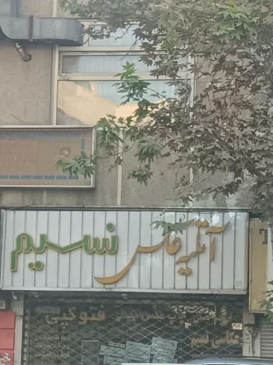عکس آتلیه عکس نسیم