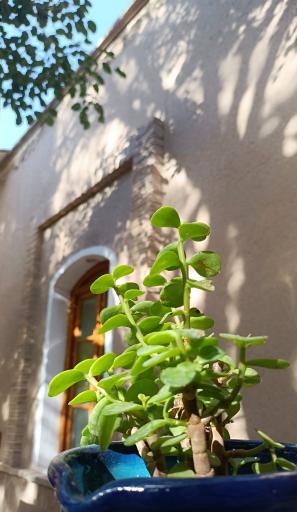 عکس رستوران شمس العماره سنتی