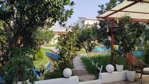 عکس باغ رستوران شمس