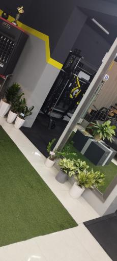 عکس باشگاه بدنسازی ستارگان