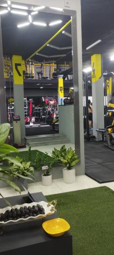 عکس باشگاه بدنسازی ستارگان