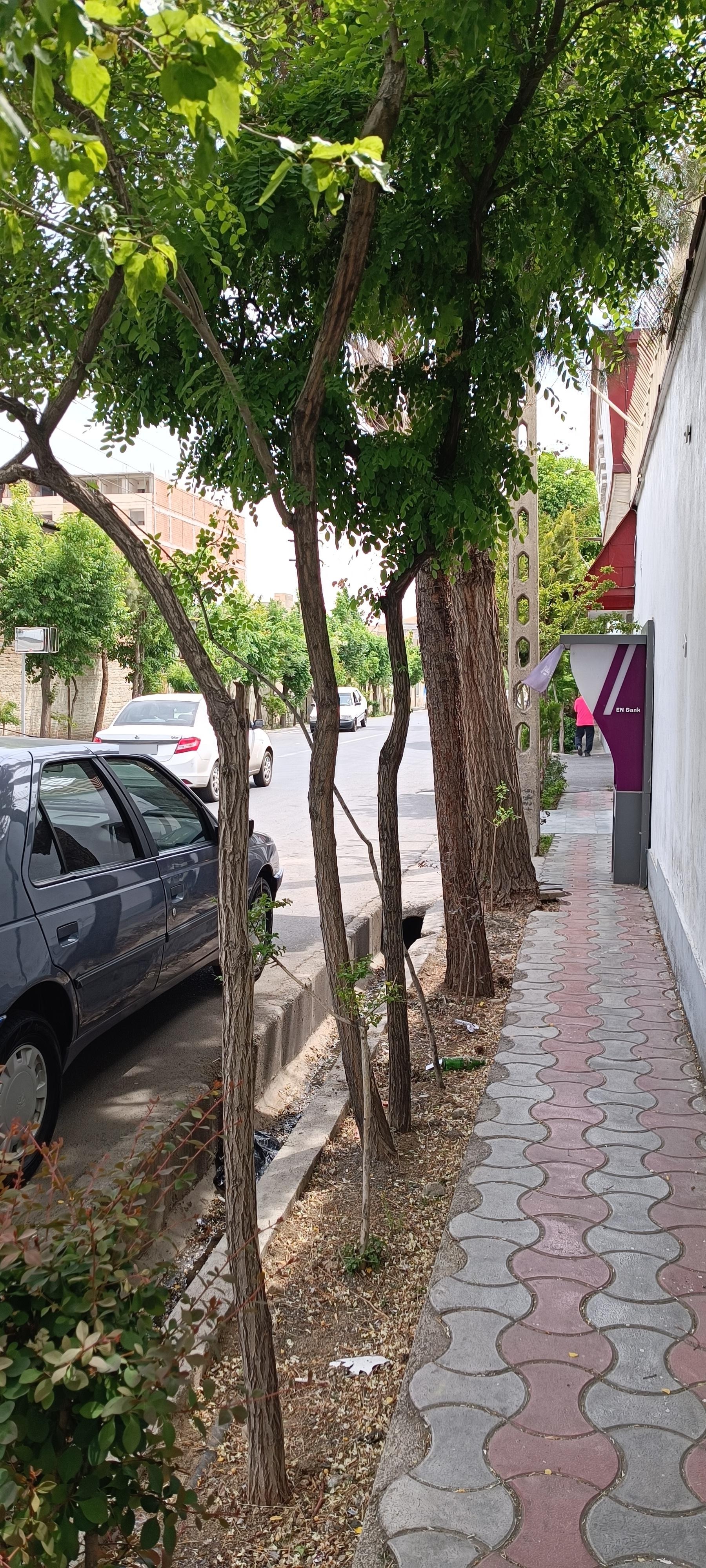 عکس عابربانک اقتصاد نوین