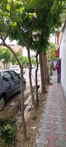 عکس عابربانک اقتصاد نوین